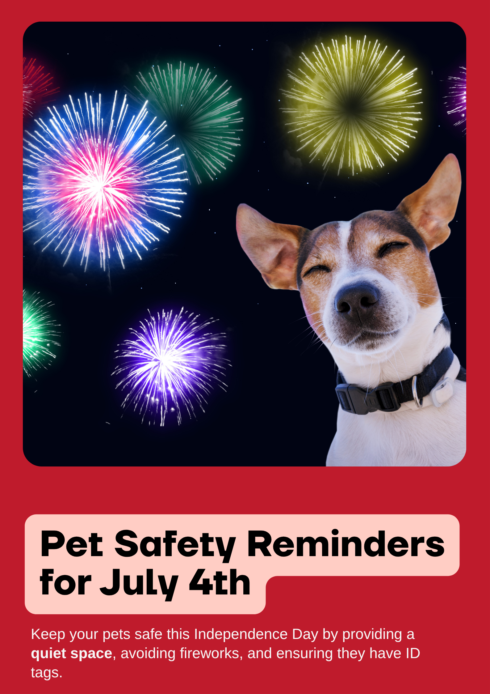PECAVA Poster – Pet Safety Reminders for July 4th
