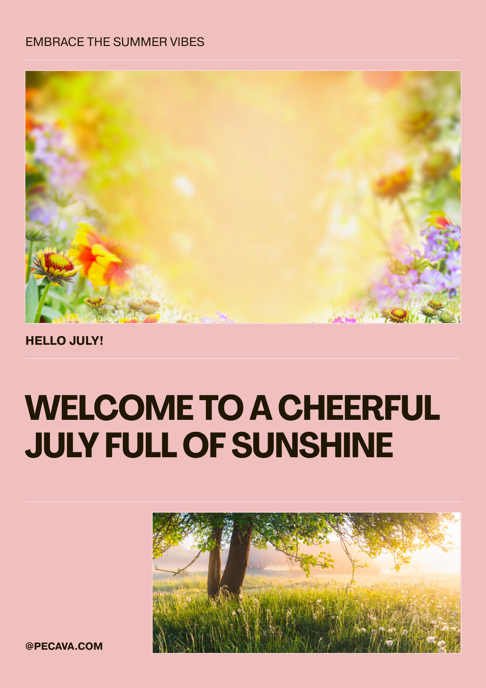 PECAVA Poster – Welcome July! (FREE)