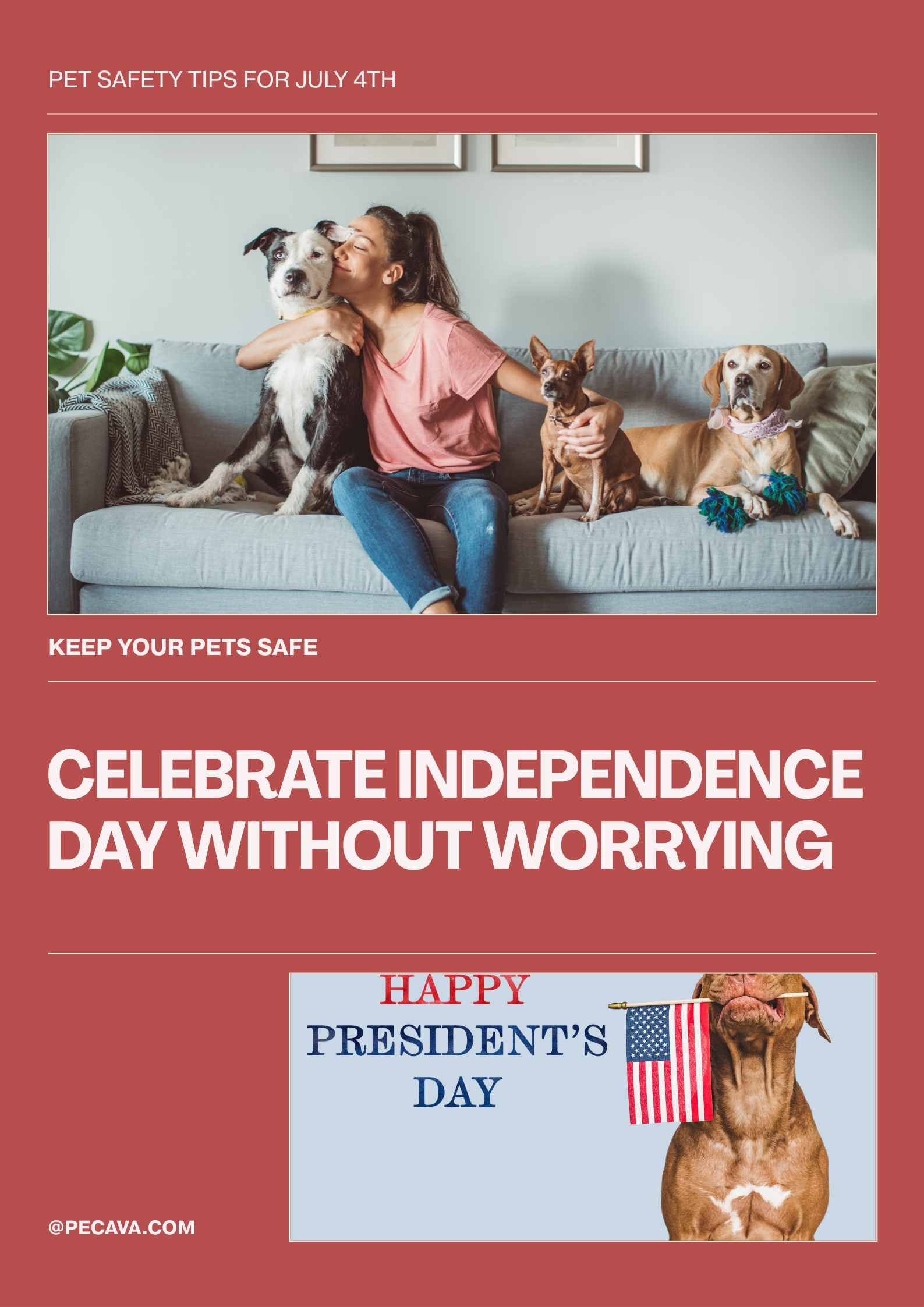 PECAVA Poster – Pet Safety Reminders for July 4th