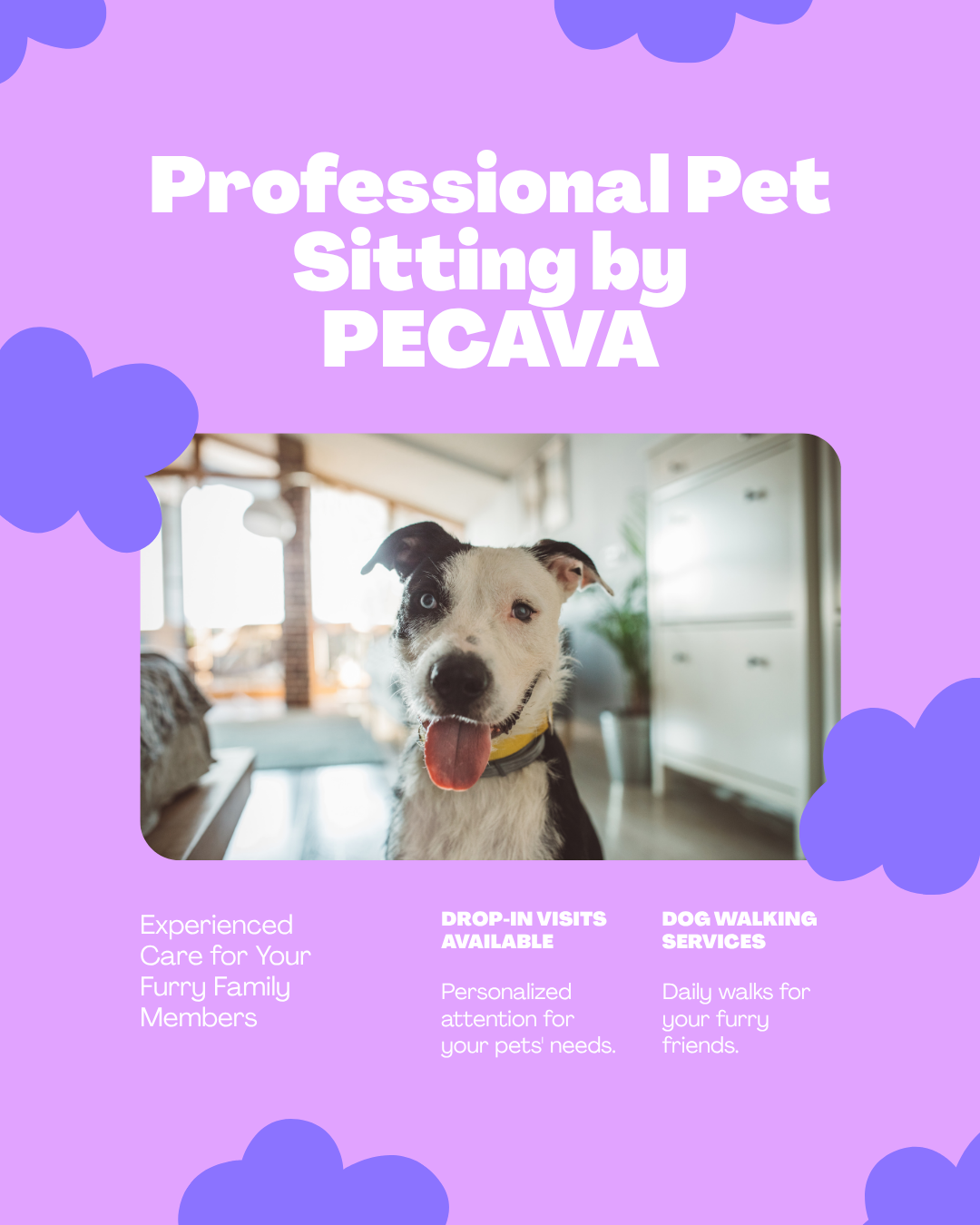 FREE PECAVA 1 page graphics editable 8pcs