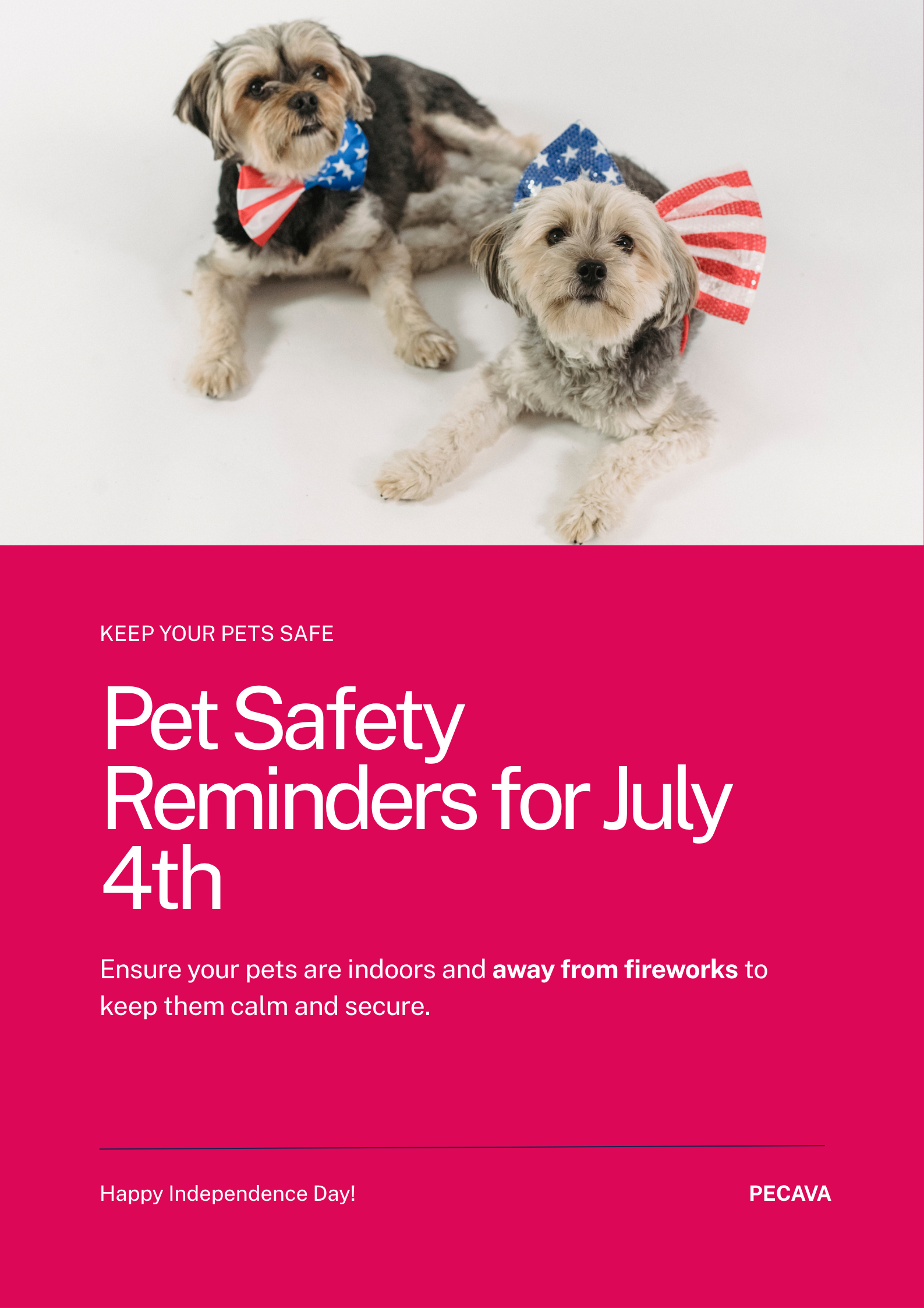 PECAVA Poster – Pet Safety Reminders for July 4th