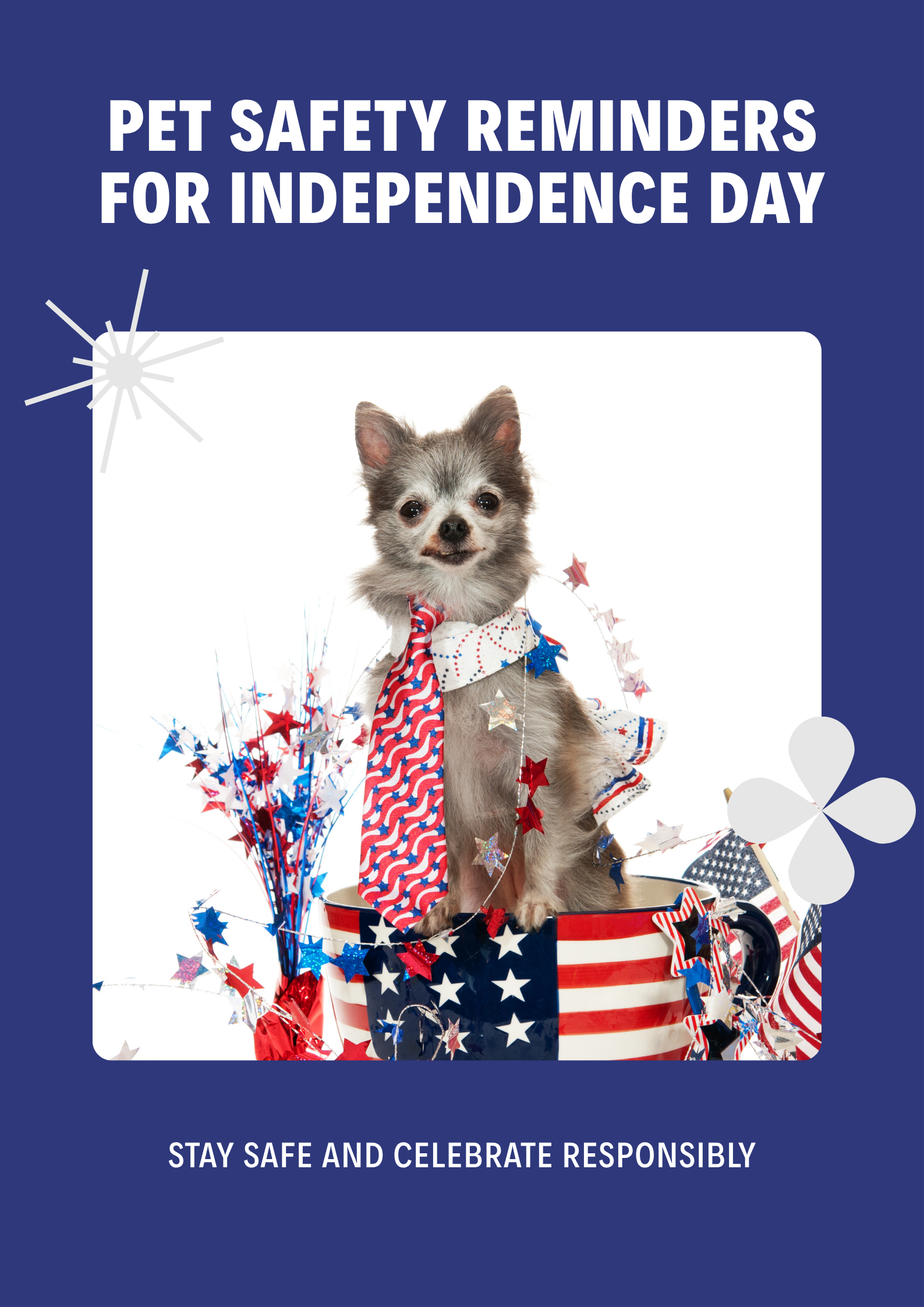 PECAVA Poster – Pet Safety Reminders for July 4th