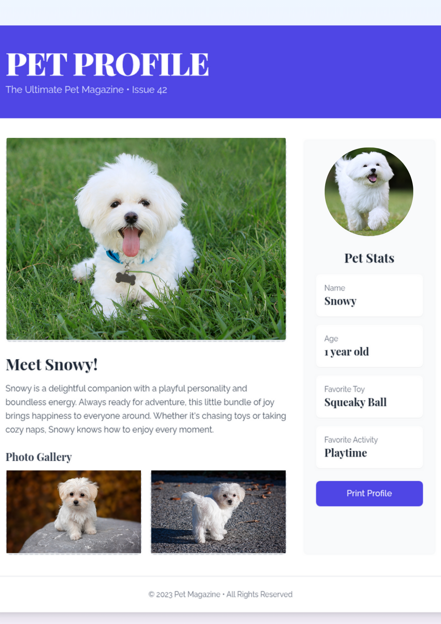 One Page Pet Magazine (Customized)
