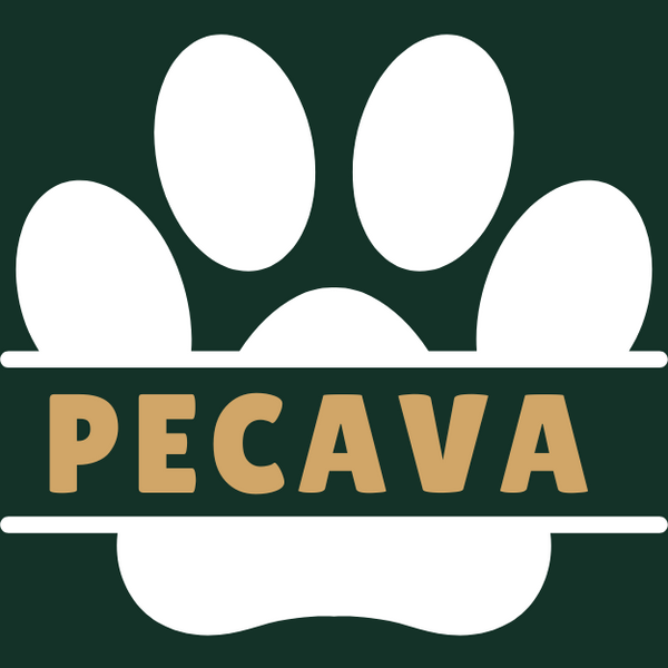 Pecava