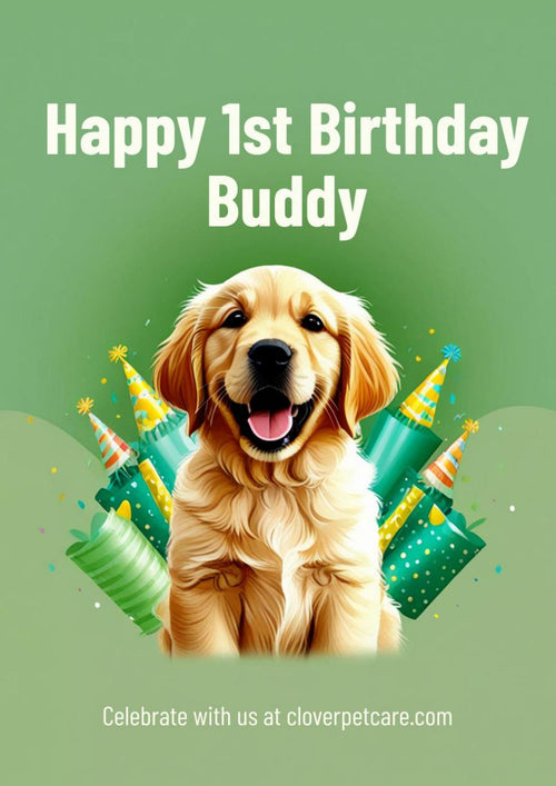 Birthday Greetings Flipbook